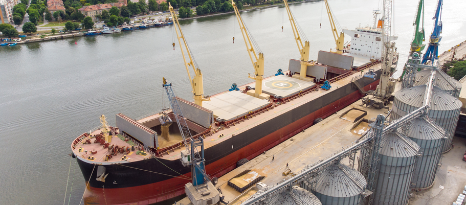 Bulk carrier en terminal de granel del Puerto de Manzanillo